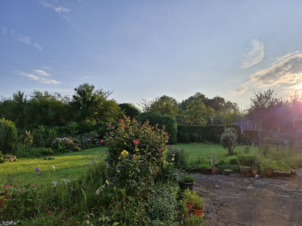 0395688b-f70f-44f0-b9f9-82d4c086858f