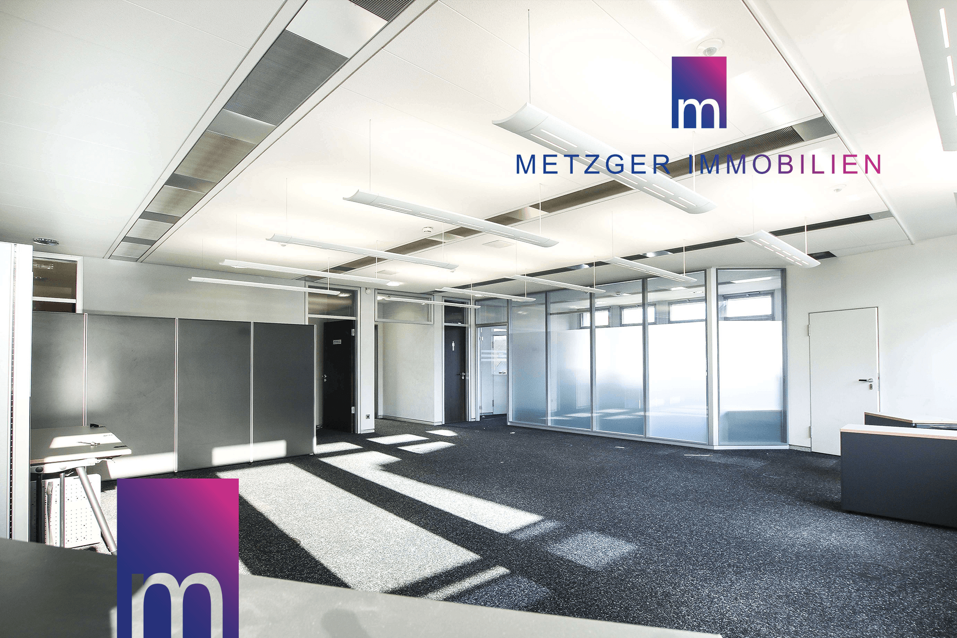 a8d600ae81d4ae2aa5f558639f321c8c